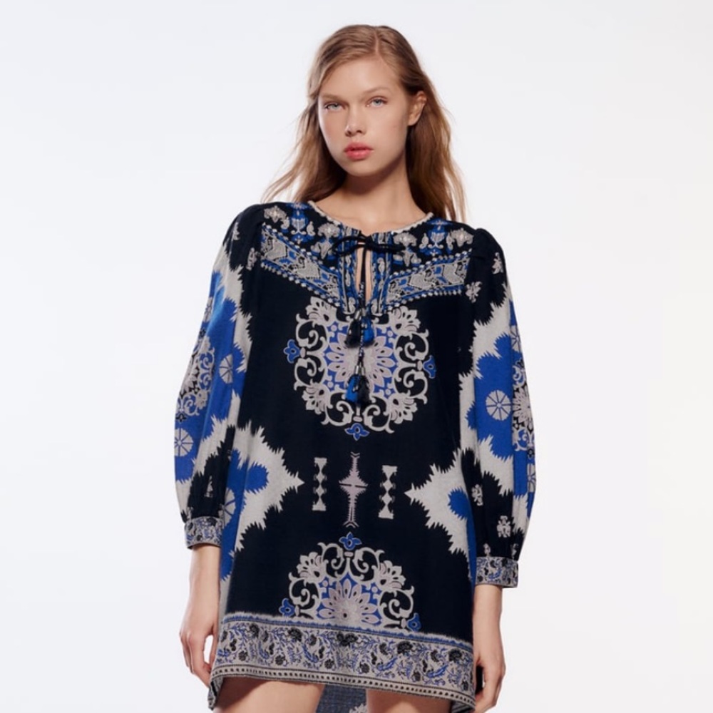 Zara embroidered printed dress